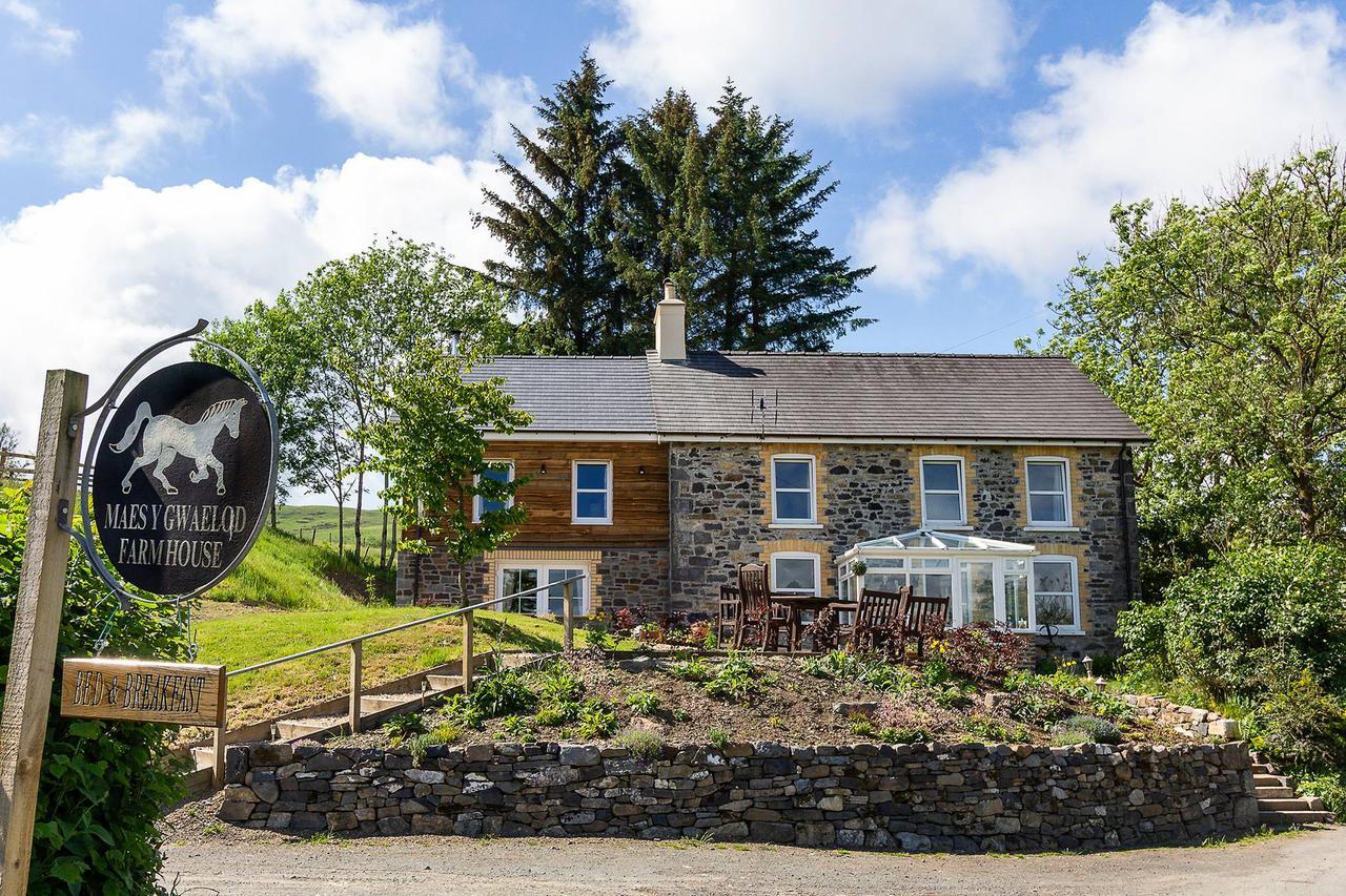 Maes Y Gwaelod Bed & Breakfast Llanwrtyd Wells Exterior photo